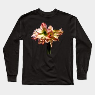 Amaryllis - A Lovely Pink and White Amaryllis Long Sleeve T-Shirt